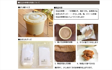 【先行予約・令和8年2月上旬発送】簡単味噌づくりキット 4kg プロが仕込んで自宅で熟成発酵 寒仕込み味噌 新潟県産大豆・コシヒカリ使用 米みそ[ZB598]