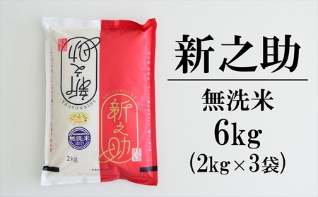 【令和6年産新米】新之助 無洗米 6kg（2kg×3袋）中村農研 小分け しんのすけ[Y0127]