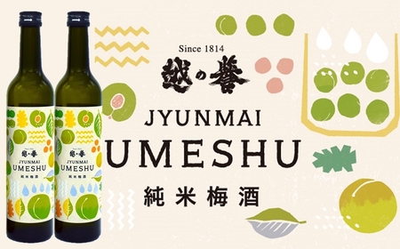本格日本酒仕込み 純米梅酒 500ml×2本 越の誉[Y0022]