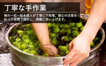 本格日本酒仕込み 純米梅酒 500ml×2本 越の誉[Y0022]