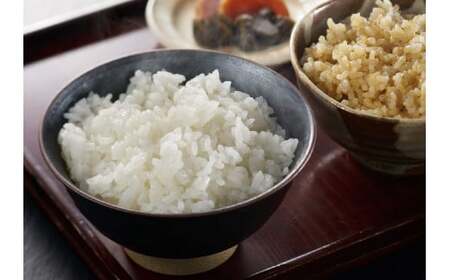 令和7年産米【五ツ星お米マイスター厳選】コシヒカリ 無洗米 10kg（5kg×2袋）[Y0563]