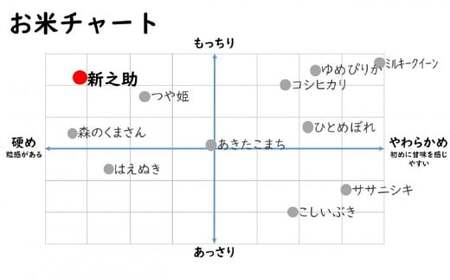 【令和7年産新米・5ヶ月定期便】新之助 白米 4kg（2kg×2袋）×5回（計 20kg）ヤタらうんめぇお米 水田環境鑑定士在籍 しんのすけ[Y0182]