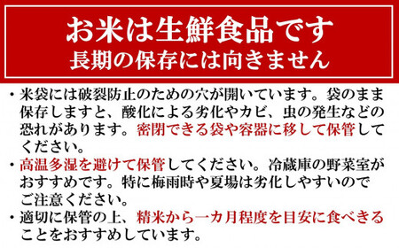 【令和7年産新米・5ヶ月定期便】新之助 無洗米 4kg（2kg×2袋）×5回（計 20kg）ヤタらうんめぇお米 水田環境鑑定士在籍 しんのすけ[Y0183]