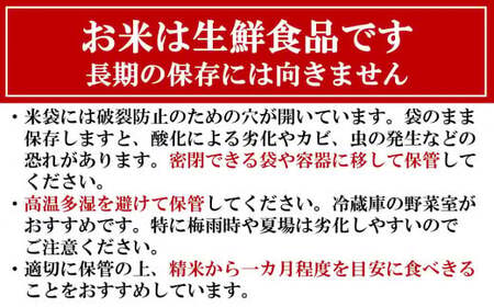 【令和7年産新米・5ヶ月定期便】新之助 無洗米 6kg（2kg×3袋）×5回（計 30kg）ヤタらうんめぇお米 水田環境鑑定士在籍 しんのすけ[Y0185]