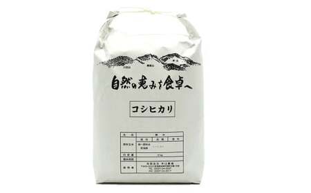 【令和7年産新米】コシヒカリ 白米 5kg 新潟米 [Y0526]