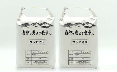【令和7年産新米】コシヒカリ 白米 10kg（5kg×2袋） 新潟米 [Y0527]