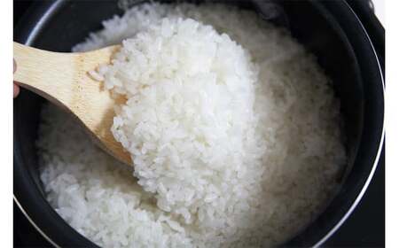 【令和7年産新米・10ヶ月定期便】新之助 白米 6kg（2kg×3袋）×10回（計 60kg）ヤタらうんめぇ しんのすけ 水田環境鑑定士在籍[Y0341]