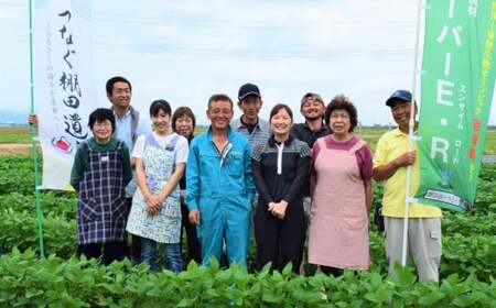 【令和7年産新米・10ヶ月定期便】新之助 無洗米 6kg（2kg×3袋）×10回（計 60kg）ヤタらうんめぇ しんのすけ 水田環境鑑定士在籍[Y0342]