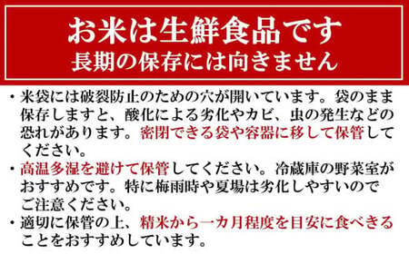 【令和7年産新米・10ヶ月定期便】新之助 無洗米 6kg（2kg×3袋）×10回（計 60kg）ヤタらうんめぇ しんのすけ 水田環境鑑定士在籍[Y0342]