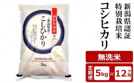 【12ヶ月定期便】新潟県認証特別栽培米 コシヒカリ 無洗米 5kg×12回（計 60kg）アグリーホンマ[Y0371]