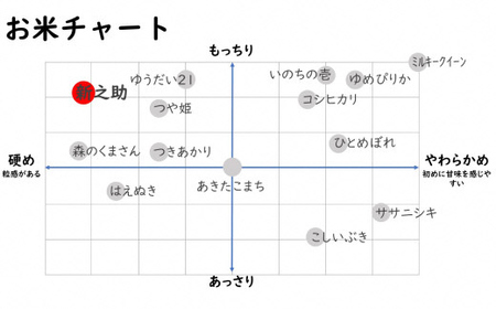 【12ヶ月定期便】新潟県認証特別栽培米 新之助 白米 5kg×12回（計 60kg）アグリーホンマ[Y0374]