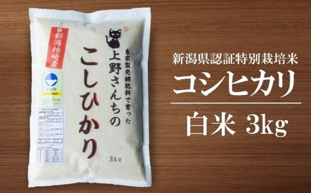 先行予約【令和7年産米・3ヶ月定期便・4月～発送】 コシヒカリ 白米 3kg×3回（計 9kg）上野さんちの有機100％肥料で栽培 [Y0463]