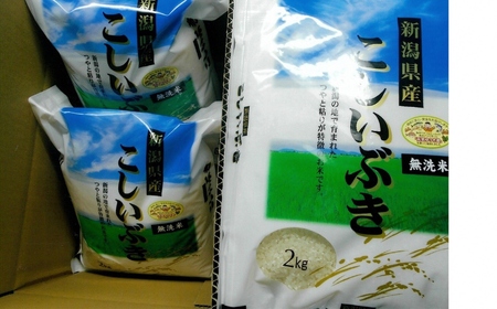 【令和7年産米】こしいぶき 無洗米 6kg（2kg×3袋）中村農研 小分け[Y0609]