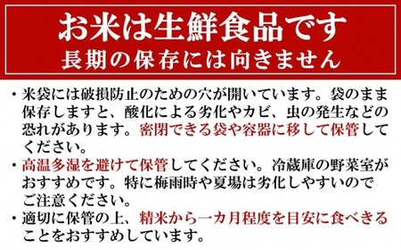 【令和7年産米】こしいぶき 無洗米 6kg（2kg×3袋）中村農研 小分け[Y0609]