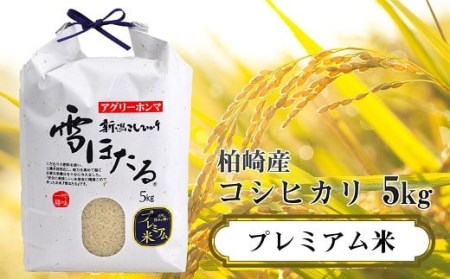 【令和5年産米】甘味の強いプレミアム米 新潟県認証特別栽培米 コシヒカリ 白米 5kg[ZB364]