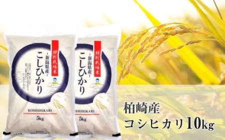 特別栽培米 コシヒカリ 白米 10kg（5kg×2袋）アグリーホンマのお米 令和5年産米 新潟県産[ZB361]