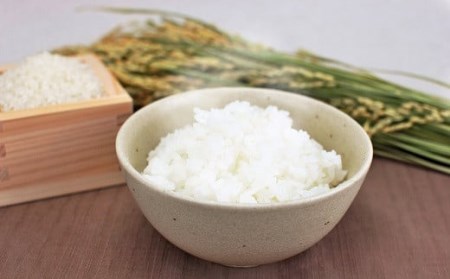 【令和5年産米】新潟県認証特別栽培米 新之助 白米 5kg[ZB369]
