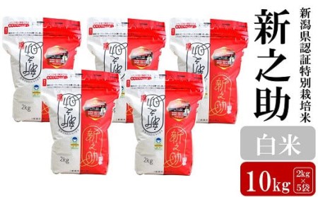 【令和5年産米】新潟県認証特別栽培米 新之助 白米 10kg（2kg×5袋）[ZF243]