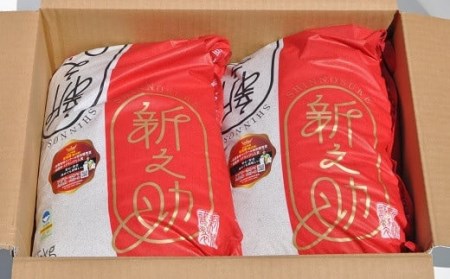 【令和5年産米】新潟県認証特別栽培米 新之助 白米 10kg（5kg×2袋）[ZF244]
