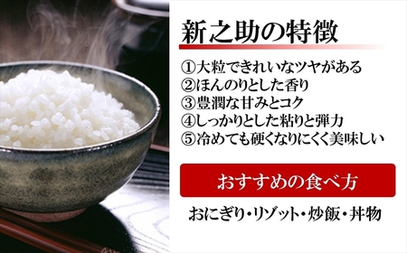 田村農産のコシヒカリ・新之助・ミルキークイーン食べ比べセット 無洗米 各2kg（計6kg） [B357]