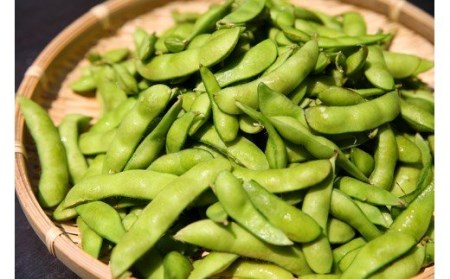 先行予約【数量・期間限定】やたらうんめぇ 枝豆 1kg（500g×2袋）水田環境鑑定士在籍[ZA036]