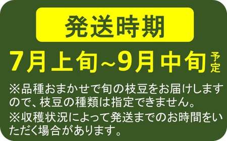 【数量・期間限定】やたらうんめぇ 枝豆 1kg（500g×2袋）水田環境鑑定士在籍[ZA036]