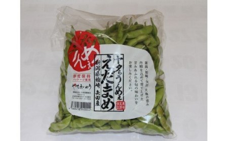 先行予約【数量・期間限定】やたらうんめぇ 枝豆 1kg（500g×2袋）水田環境鑑定士在籍[ZA036]