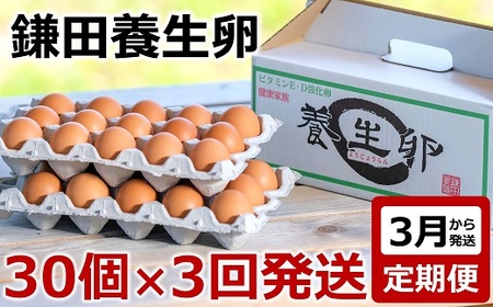 [B354]【定期便】鎌田養生卵 30個 ×3ヵ月