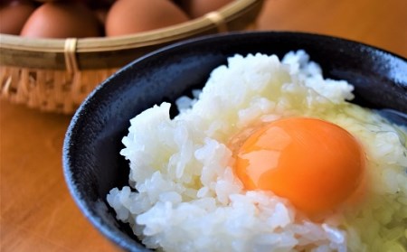 【1月～発送分 定期便】鎌田養生卵 30個 ×3ヵ月 アニマルウェルフェア 農場HACCP認証 [B61301]