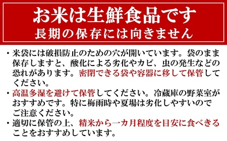 令和6年産新米【五ツ星お米マイスター厳選】新之助 白米 6kg（2kg×3袋）[Y0235]