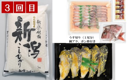 【3ヶ月定期便】日本海鮮魚センター厳選！月替わり海の幸＆コシヒカリ（5kg）セット[ZE925]