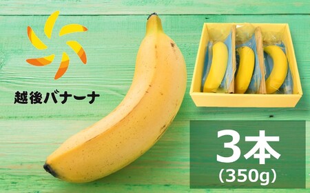 【雪国新潟産バナナ】3本（350g）濃厚な甘さともっちり食感！安心安全の越後バナーナ[ZB325]