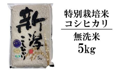 【令和6年産新米】新潟県認証特別栽培米 コシヒカリ 無洗米 5kg 中村農研[Y0295]