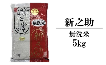 【令和6年産新米】新之助 無洗米 5kg 中村農研 しんのすけ[Y0296]