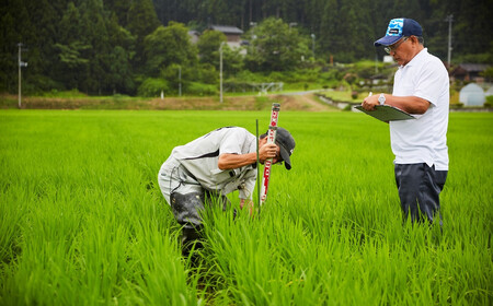 【令和5年産米】徳永農園のお米食べ比べセット（コシヒカリ、新之助、こしいぶき） 無洗米 各2kg（計6kg）[ZB303]