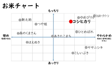 じょんのびの里セット（コシヒカリ 白米 2kg・切り餅 400g×3パック）令和6年産新米[Y0315]