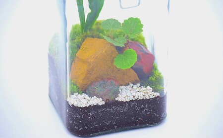 素心園のボトルガーデン（ガラスビンに入った苔テラリウム）[ZB156