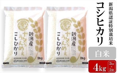 【令和6年産新米】コシヒカリ 白米 4kg（2kg×2袋） ヤタらうんめぇ お米 新潟県産 小分け 水田環境鑑定士在籍[Y0198]