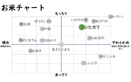 【令和6年産新米】コシヒカリ 白米 4kg（2kg×2袋） ヤタらうんめぇ お米 新潟県産 小分け 水田環境鑑定士在籍[Y0198]