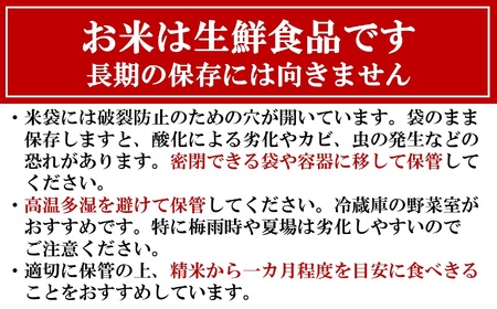 【令和6年産新米】コシヒカリ 白米 4kg（2kg×2袋） ヤタらうんめぇ お米 新潟県産 小分け 水田環境鑑定士在籍[Y0198]