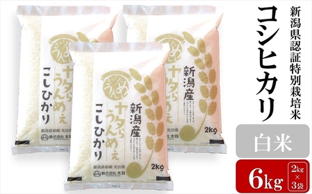 【令和7年産米】コシヒカリ 白米 6kg（2kg×3袋）ヤタらうんめぇ お米 新潟県産 小分け 水田環境鑑定士在籍[Y0200]