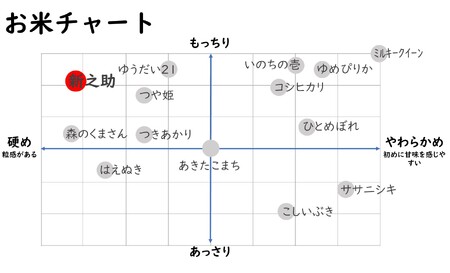 【令和7年産新米】新之助 白米 4kg（2kg×2袋）ヤタらうんめぇ お米 新潟県産 小分け しんのすけ 水田環境鑑定士在籍[Y0174]
