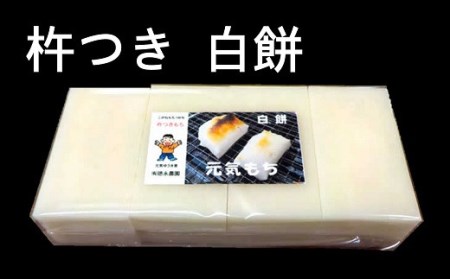 【12/9決済完了分まで年内発送】杵つきもち 白餅 24枚（8枚入×3パック） 切り餅 保存料不使用[Y0288]