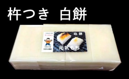 【12/9決済完了分まで年内発送】杵つきもち 56枚（白餅32枚 よもぎ餅16枚 まめ餅8枚）切り餅 食べ比べ[Y0290]