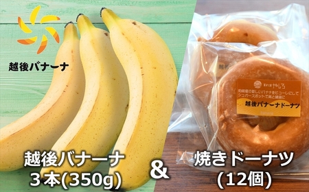 【雪国新潟産バナナ】越後バナーナ3本（350g）＆焼きドーナツ 12個 セット[ZC432]