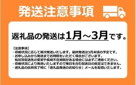 【先行予約・1月～発送】新潟のお姫様いちご♪越後姫（24～36粒）新潟県オリジナル品種[ZB618]