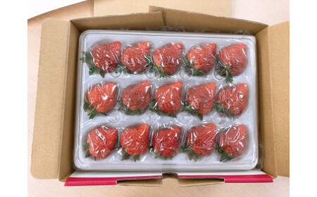 【先行予約・1月～発送】新潟のお姫様いちご♪越後姫（24～36粒）新潟県オリジナル品種[ZB618]