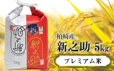 【令和6年産新米】甘味の強いプレミアム米 新潟県認証特別栽培米 新之助 無洗米 5kg[Y0359]