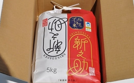 【令和6年産新米】甘味の強いプレミアム米 新潟県認証特別栽培米 新之助 無洗米 5kg[Y0359]