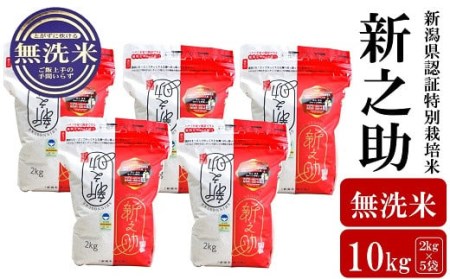 特別栽培米 新之助 無洗米 小分け 10kg（2kg×5袋）アグリーホンマのお米 令和5年産米 新潟県産 しんのすけ[ZF258]